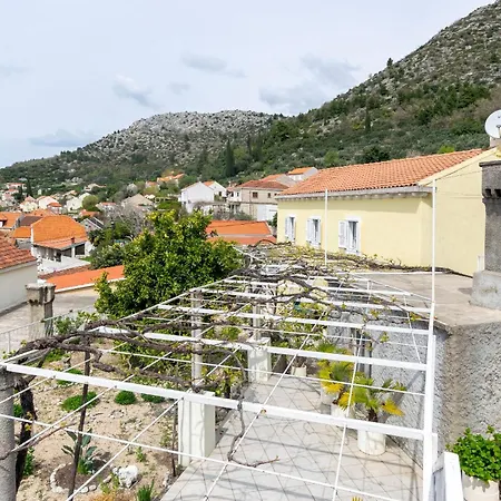 House Marija Hébergement de vacances Trsteno